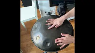 ALXCAPA - PANTAM Cat Session #1