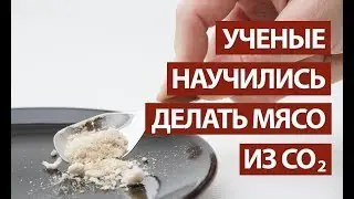 Компании Air Protein удалось создать мясо из воздуха