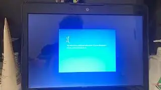 White Bull mooing has BSOD (HP Pavilion DV2)