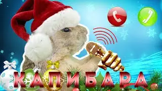 ПУШИСТИК - Новогодняя Песня