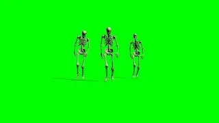 3d skeleton walk green screen effect for chromakey
