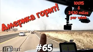 Америка горит? Дальнобой по США. Лизинг. Зарплата дальнобойщика в Америке!  #65