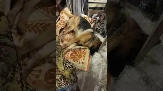 Змінилося " місце дислокації"