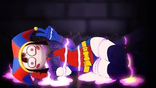 the amazing lapfox circus