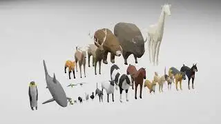Low Poly Animals Free 3d Models