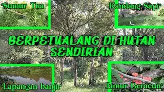 BERPETUALANG DIHUTAN❗ADA APA SAJA DISANA⁉️ no edit no sensor