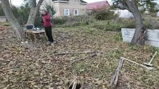 Початок Глеваха