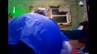Furry inflation