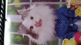 Что скрывают коты и денюжное дерево в себе и в уме?