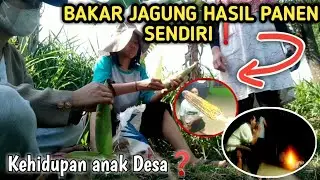 MANTAN TKW TAIWAN NGOBROL DI TENGAH SAWAH NUNGGU LEK NYARI RUMPUT❗CERITA MASA KECIL 40th YANG LALU