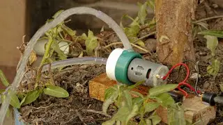 How to make Water Pump with Dc Motor at Home - DIY