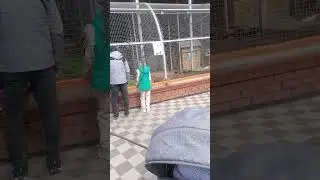 Липецк зоопарк