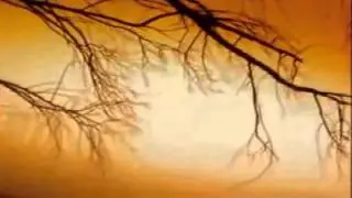 Moya Brennan - No Scenes of Stately Majesty