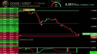 🔴 DOGE DOGECOIN Live Trading Signals DOGEUSDT Best Trading Crypto Strategy