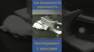 Как формируется зависимость. Подробнее - в описании