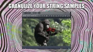 GRANULIZE your STRING SAMPLES before someone else does