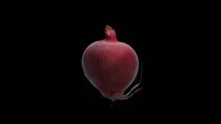 Onion.