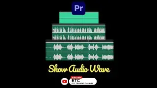 SHOW AUDIO WAVEFORM | ADOBE PREMIERE PRO | 