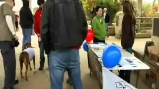 The Austin Ron Paul Revolution Makes the News!