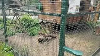 Зоопарк