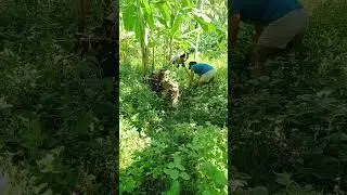 May tao sa loob #khemyattv #funny #comedyfilms #comedy #comedymovies #justforfun #funnycomedy