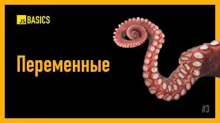 JS Basics: Переменные