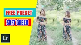 Preset Lightroom - free preset refined