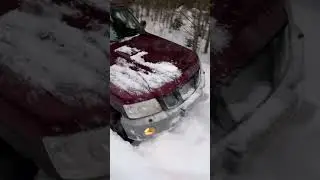 Отличная Зимняя вылазка в леса Ярославской области