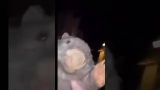 Мем от фанатов 