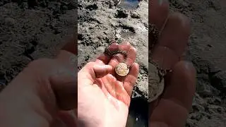 НАШЛИ ЭЛЬДОРАДО В РОСТОВЕ НА ДОНУ. 