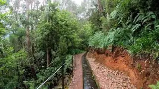 PR18 - Levada do Rei, Madeira | Full Trail Walk