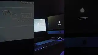 #shorts #bruteforce #cybersecurity #coding #programming #kalilinux