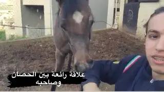 شاهد علاقة رائعة بين الحصان وصاحبه _ Friendship with your horse and gain trust  #arabian_horses