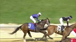 TIMONIUM 08 25 2024 RACE 5