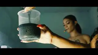 KT - "Know How" (Official Video)