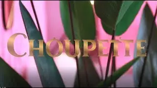 Choupette Весна-Лето 2019