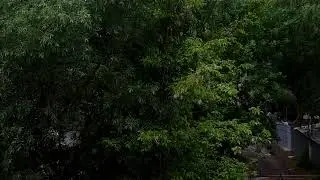 23.07.22 (part 2)