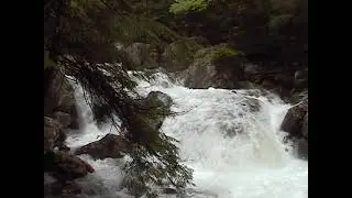Cooper Creek (TN) Clips from Kat Rector Levitt - Raw Video 2002