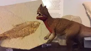 announcement and 10 subscriber special