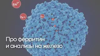 Когда анализы на железо и ферритин могут вас обмануть и что с этим делать?