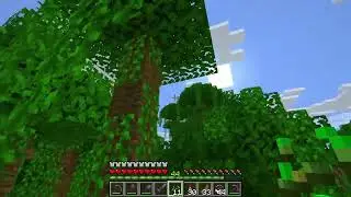 Parrot taming guide, how to tame the bird - Minecraft 1.21