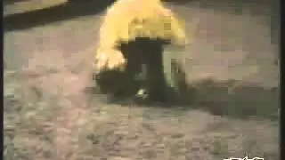 Кот в аквариуме   Смешное видео
