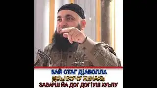 Вай стаг д1аволла доьлхучу хенахь забарш йа дог1кш хуьлу