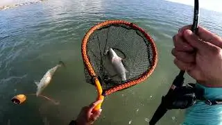 south padre island fishing Port Isabel