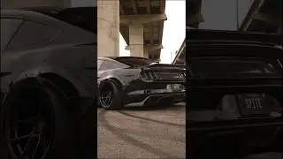 Which one is your favorite, S550 or S197?