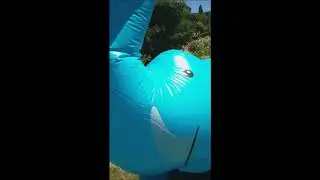 Blowing up and trying out my BigMouth inflatable ginormous Elephant Sprinkler