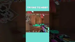 Trying To Hide?