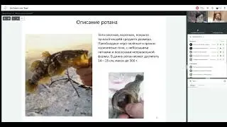 Защита проектов Трек Вода
