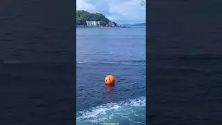 This Ball Save Your Life 🤯 Survival Capsule Life Saving 😳