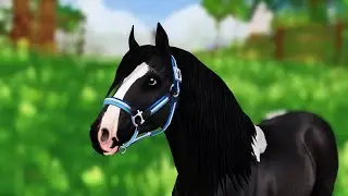 RAW STAR STABLE CLIPS FOR EDITING!